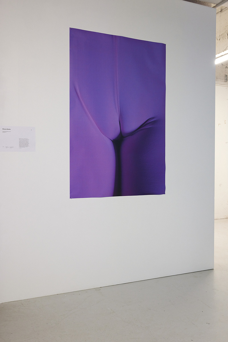 Photo Cameltoe
